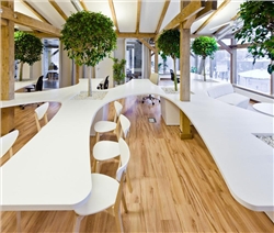 Tràn đầy năng lượng làm việc với 10 mẫu thiết kế văn phòng xanh