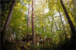 Treehouse – Nhà giữa rừng cây