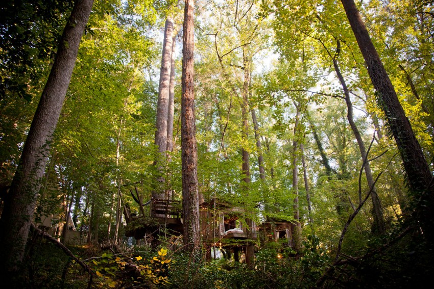 Secluded-Intown-Treehouse-01-850x567