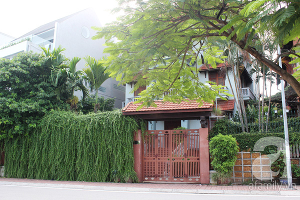 Những ngôi nhà xanh tuyệt đẹp nhờ cây cảnh ở Hà Nội 9